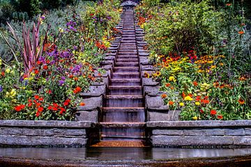 Bodensee : Wassertreppe von Photoart-Naegele
