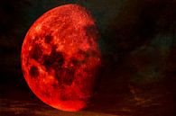 The blood red moon as a messenger of the apocalypse by Max Steinwald thumbnail