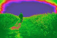 Under the Rainbow
