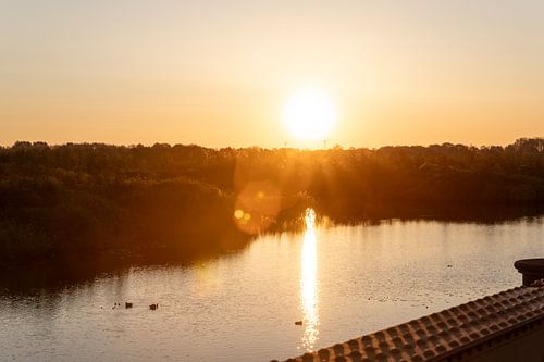 Gouden Ontwaakmoment: Licht over de Moerputten