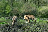 Zeldzaam en mooi samen eten