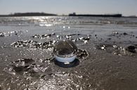 Glazenbol op het strand van Fotografiemetangie thumbnail