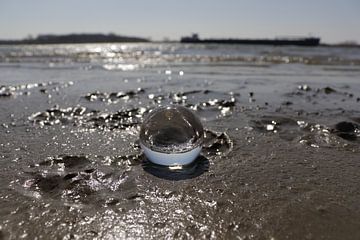 Glazenbol op het strand van Fotografiemetangie
