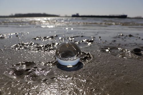 Glass bulb on the beach