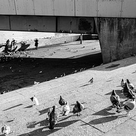 Drei Touristen mit Tauben in Maastricht von Streets of Maastricht