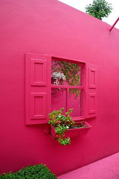 Jolie fenêtre rose sur Frank's Awesome Travels