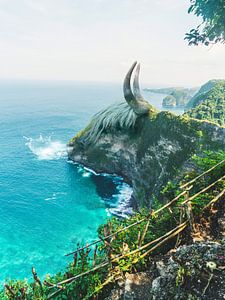 Bull Rocks