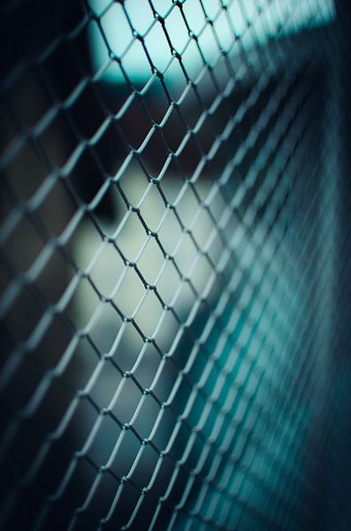 Fences by Jan Eggenberger