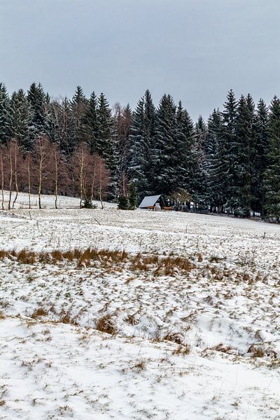 Winter walk on the heights of the Thuringian Forest by Oliver Hlavaty