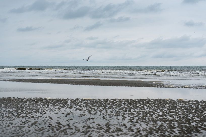 The coast at Schiermonnikoog by Robert de Jong