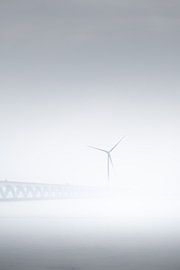 Die Erasmusbrücke im Nebel