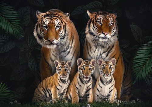 Tigerfamilie mit 3 Jungtieren