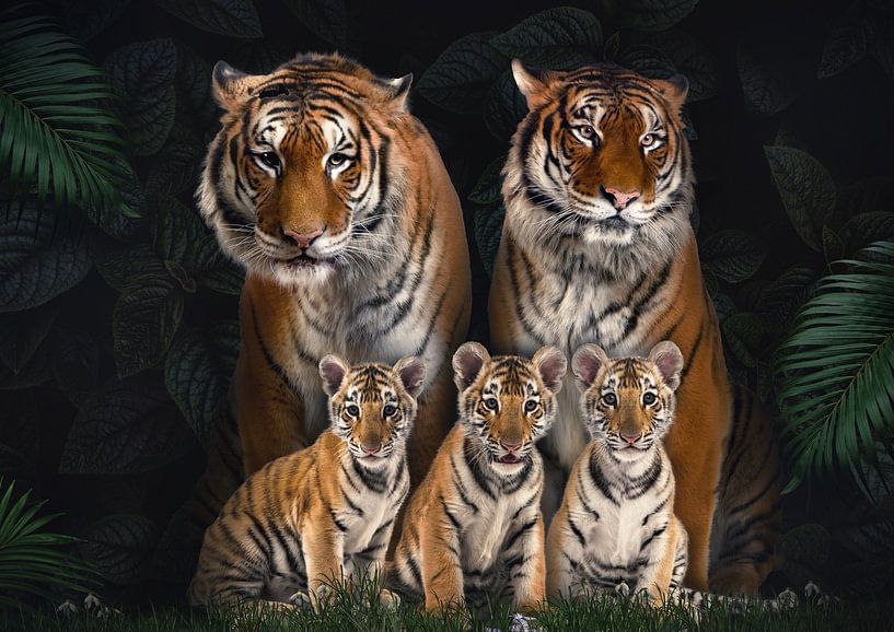 Famille de tigres avec 3 petits par Bert Hooijer
