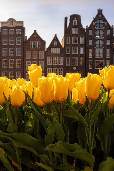 Tulpen uit Amsterdam van Thea.Photo