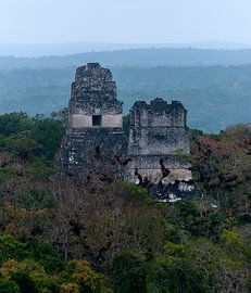 Guatemala: Tikal (Yax Mutal) van Maarten Verhees