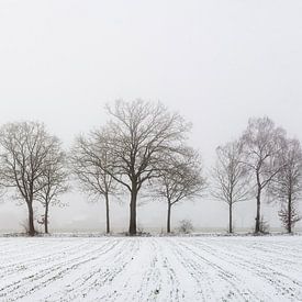 Minimalistische Winterlandschaft mit Feld und Baumreihe von Jan Fritz