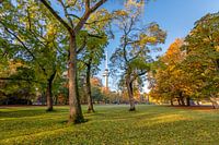 The Euromast seen through the trees in The Park