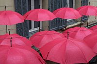Bunte, fröhliche, rosafarbene Regenschirme, aufgereiht in der Innenstadt von Grasse, im Regen