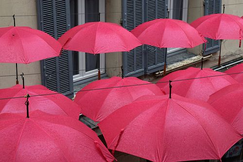 Felgekleurde, vrolijke roze paraplu's op een rij in het centrum van Grasse, in de regen