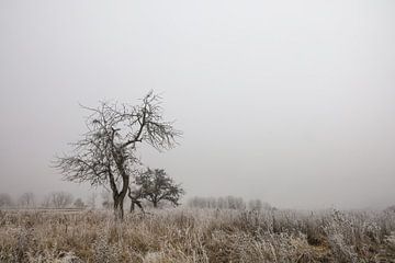 Mist en rijp - Landschap bij Eigeltingen-Homberg in Hegau - District Konstanz van BlattArt - Christine Horn