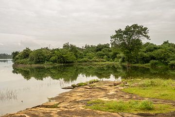 Landschap Udawalawe van Nicole Nagtegaal