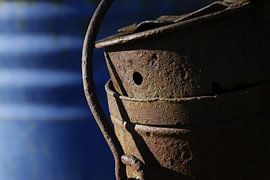 Rust :  An old milk bush