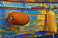 Colourful Boat Tackle