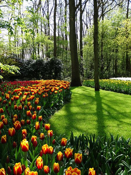 Keukenhof Holland von Iwona Sdunek alias ANOWI