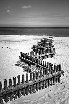 Zigzag To The Sea