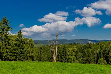 Prachtig landschap bij het Knüllfeld/Thüringer Woud van Oliver Hlavaty