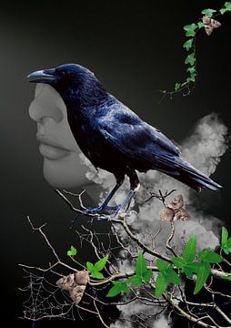 Raven in the fog by Postergirls