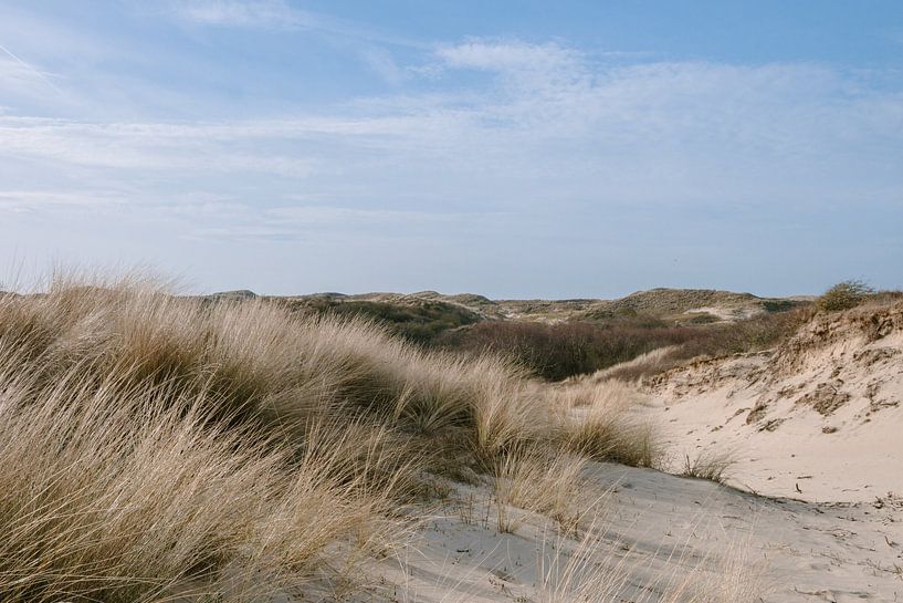 Dunes de Clingendael par Studio Desert Rose