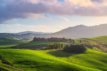 Sanfte Hügellandschaft in Volterra von Stefano Orazzini