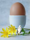 Surrealism by Henk de Boer thumbnail
