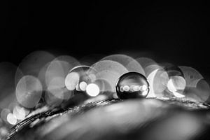 Makro eines Wassertropfens in Schwarz und Weiß mit Bokeh-Hintergrund