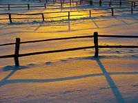 Winter sun