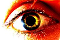 Oog