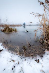 Molen de Steendert von Moetwil en van Dijk - Fotografie