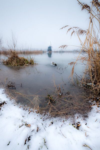 Molen de Steendert by Moetwil en van Dijk - Fotografie