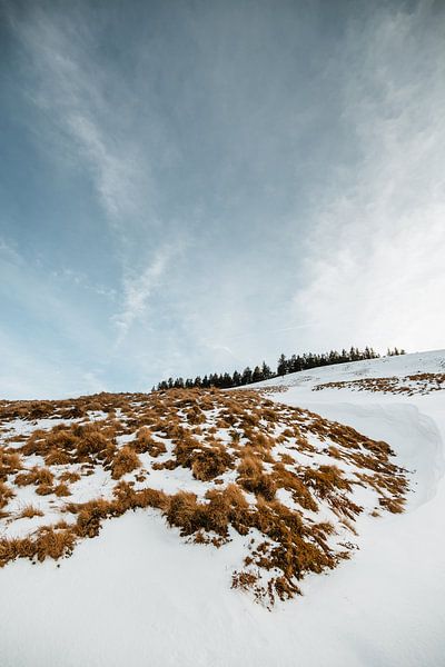 Tegernsee | Winter in de Alpen van Nanda van der Eijk