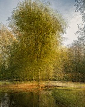 Avondtuin II De boom als symbool van de natuur van Nicole Holz