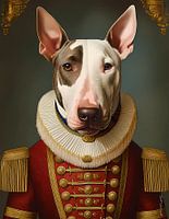 Terry Earl of Bull