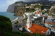 Camara de Lobos, Madère par Michel van Kooten Aperçu