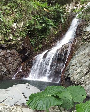 Hiji Otaki waterfalls - Okinawa van Daniel Chambers