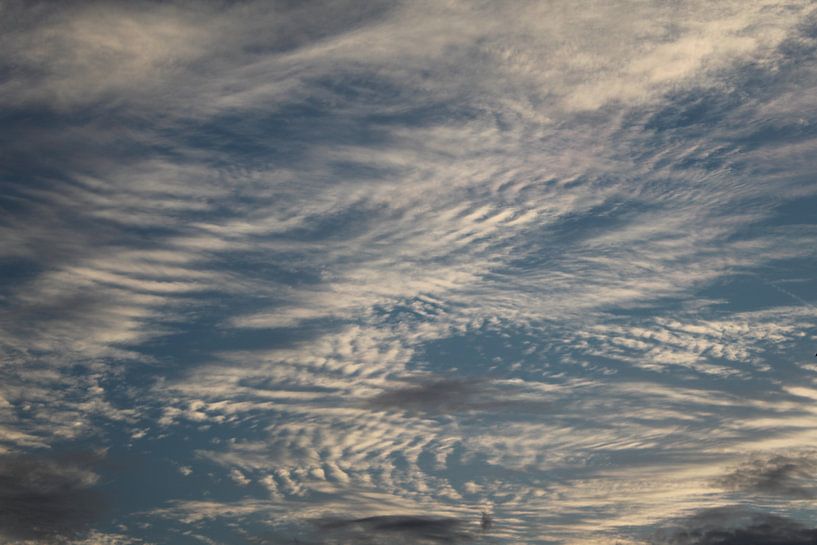 Comprehensive Clouds by Geert Visser