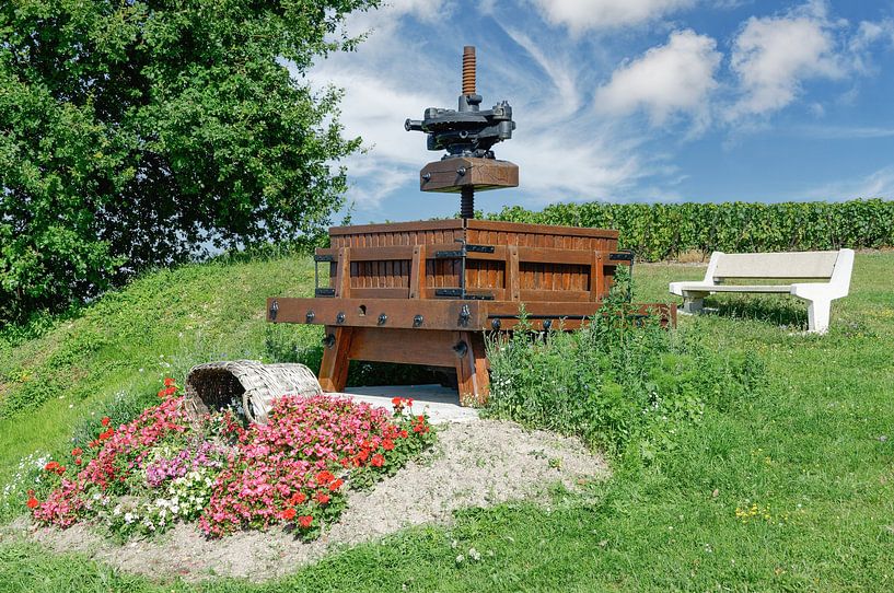 Rast in den Weinbergen der Champagne region von Peter Eckert