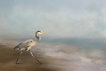 Blauwe reiger aan zee van Diana van Tankeren