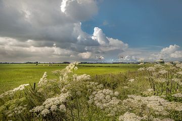 Polderlandschaft mit Prinz-Willem-Alexander-Brücke von Moetwil en van Dijk - Fotografie