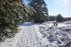 Pays des merveilles de l'hiver, paysage de neige Pays-Bas sur My Footprints