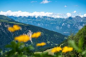 Bloemrijk uitzicht op de Zwitserse Alpen van Leo Schindzielorz